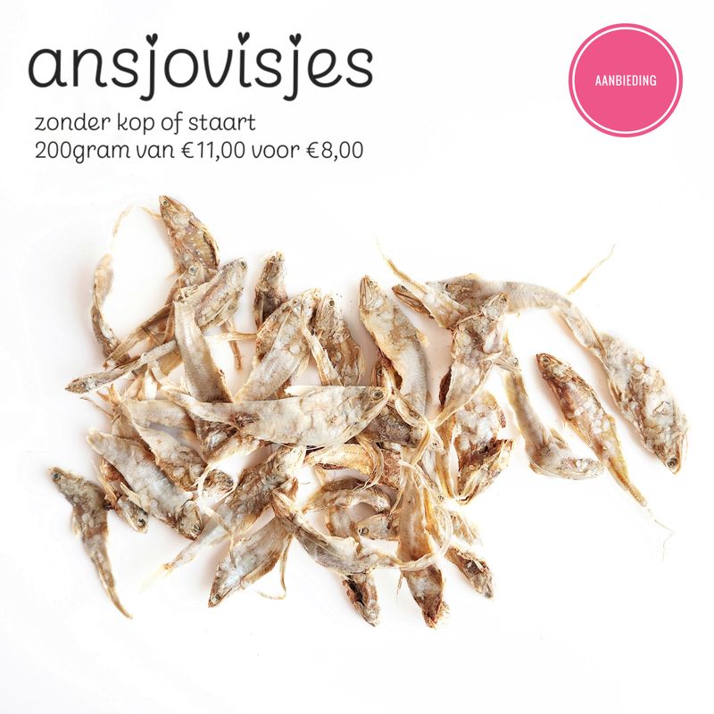 ansjovisjes (zonder kop of staart) * actie *