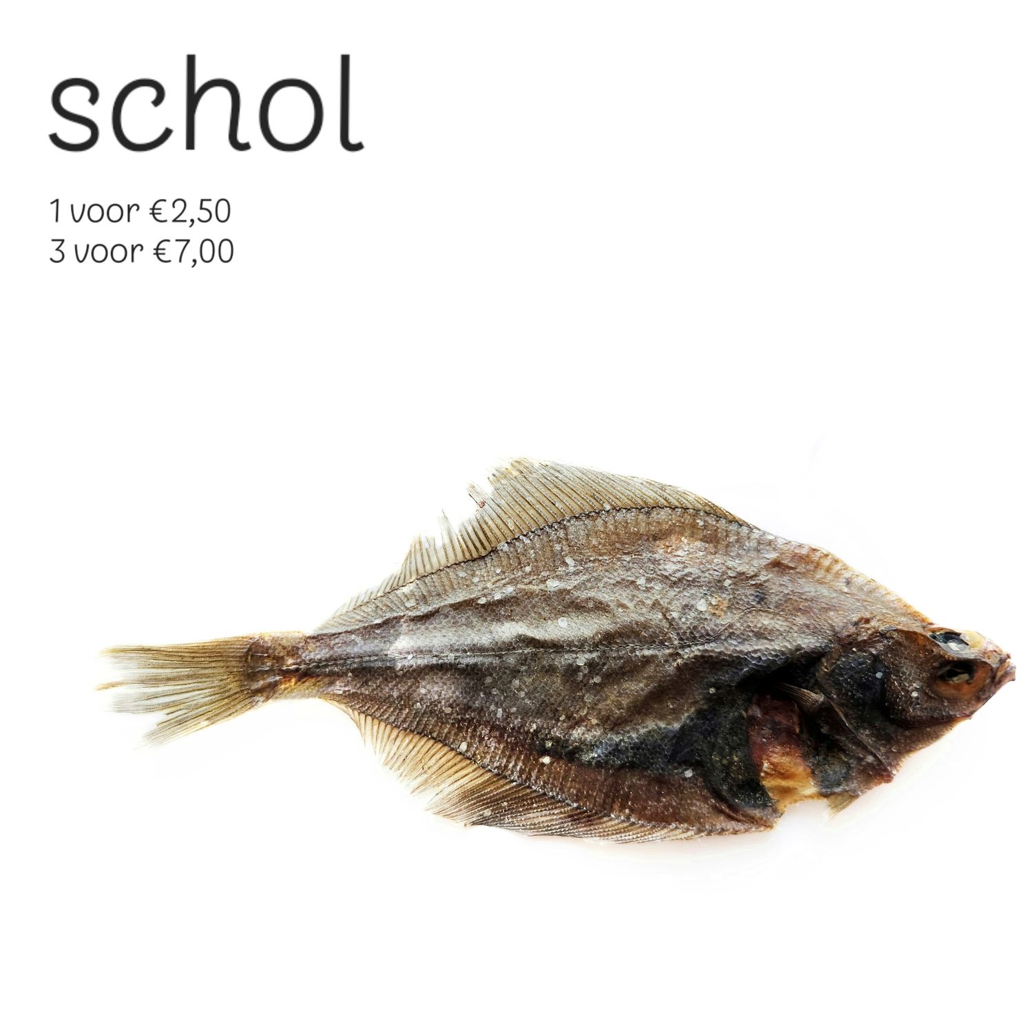 schol