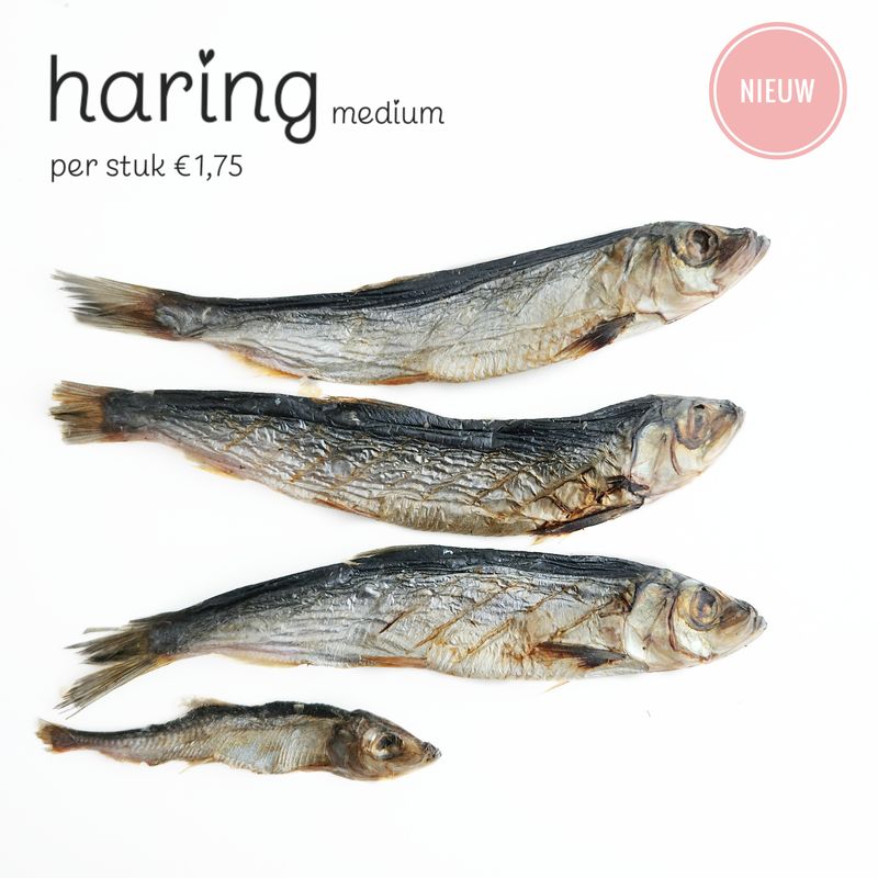 Haring - medium
