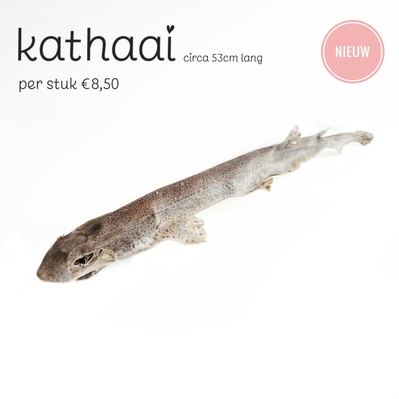 Kathaai