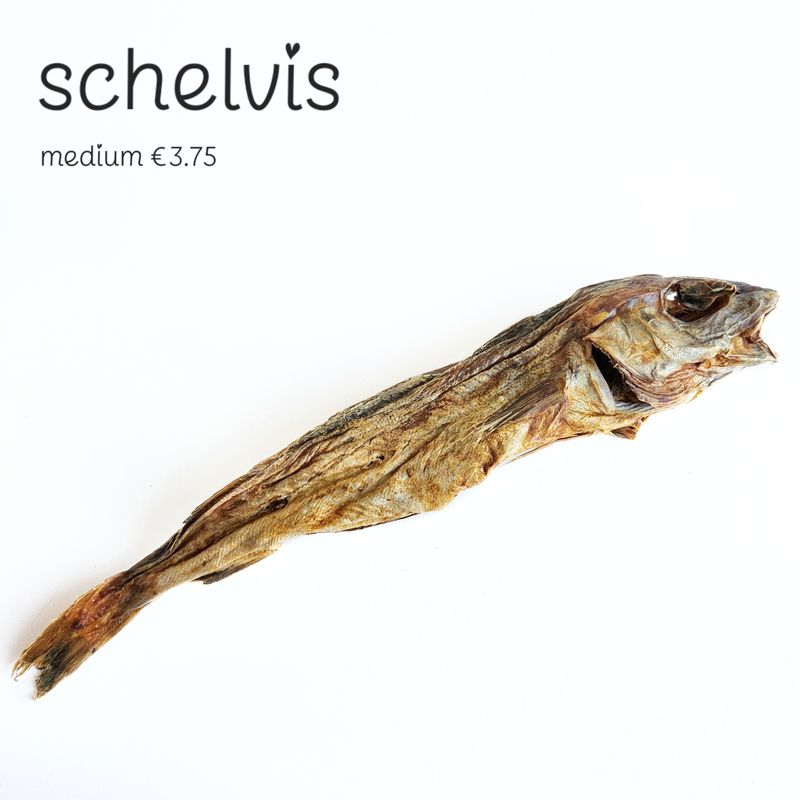 Schelvis - medium