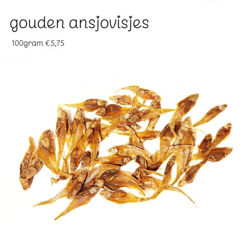 gouden ansjovisjes