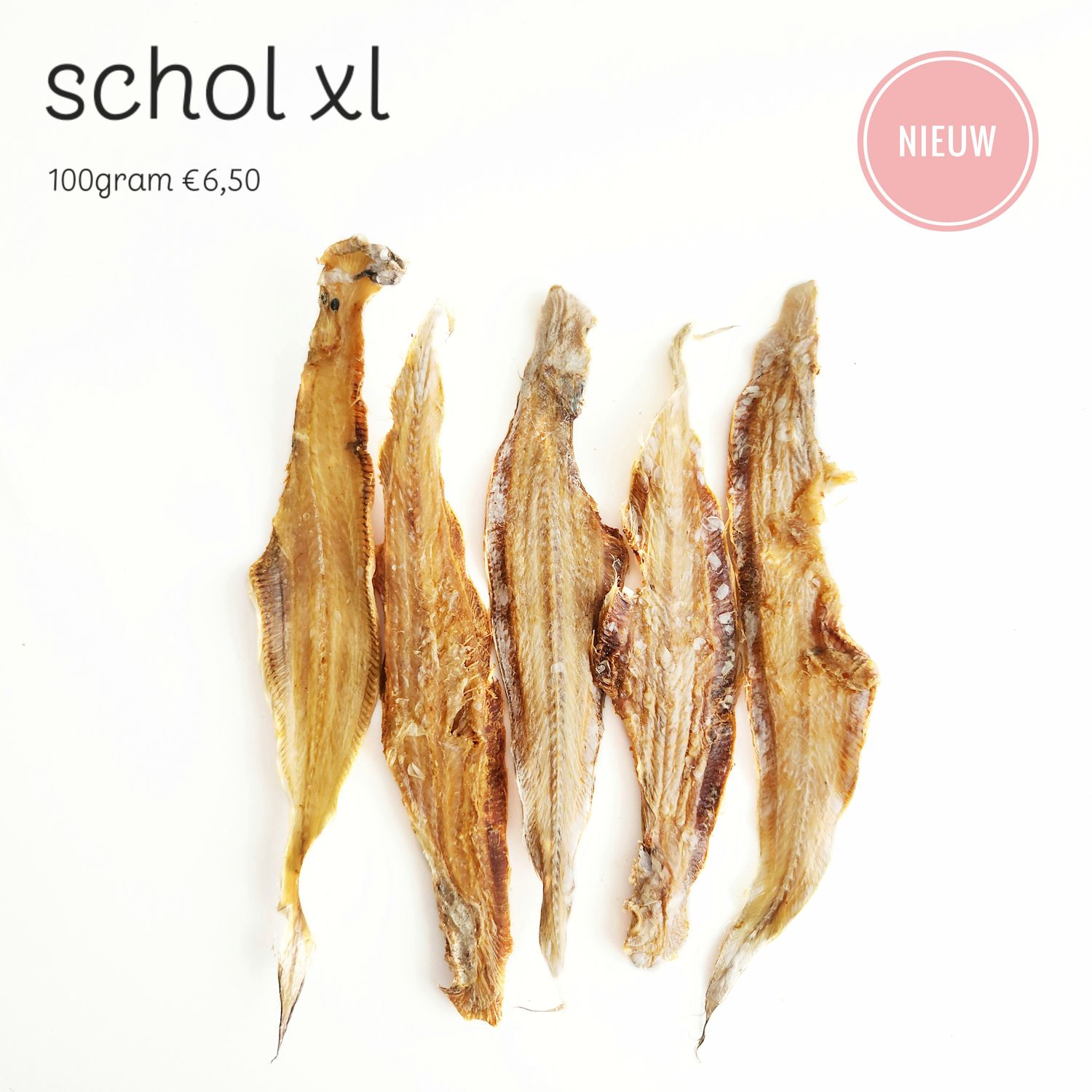 scholfilet xl