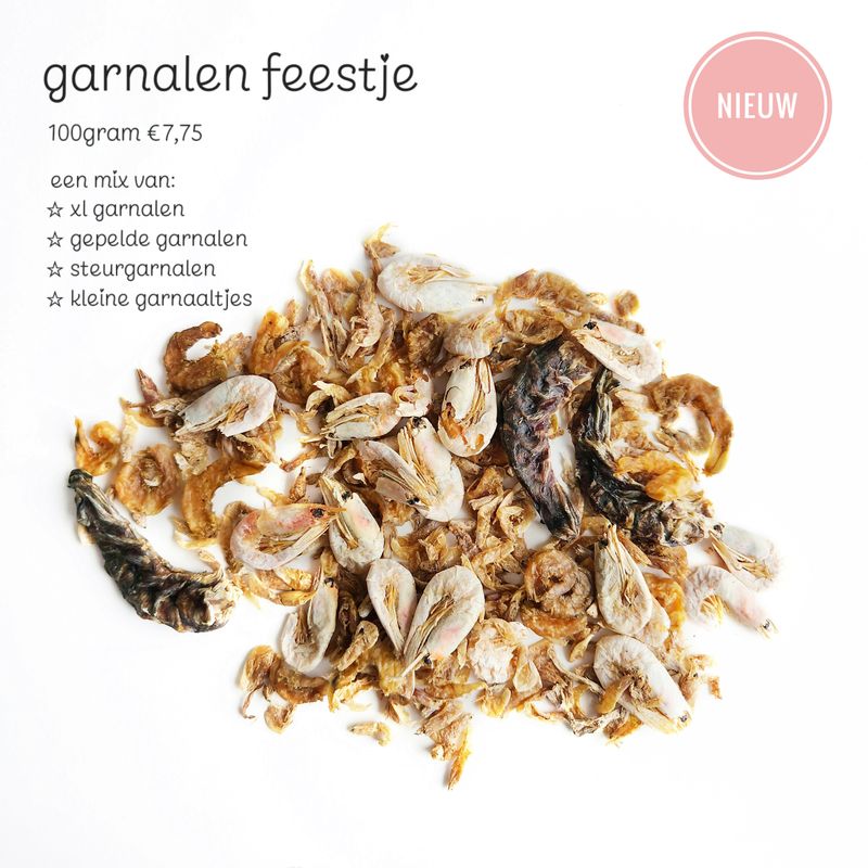 garnalen feestje