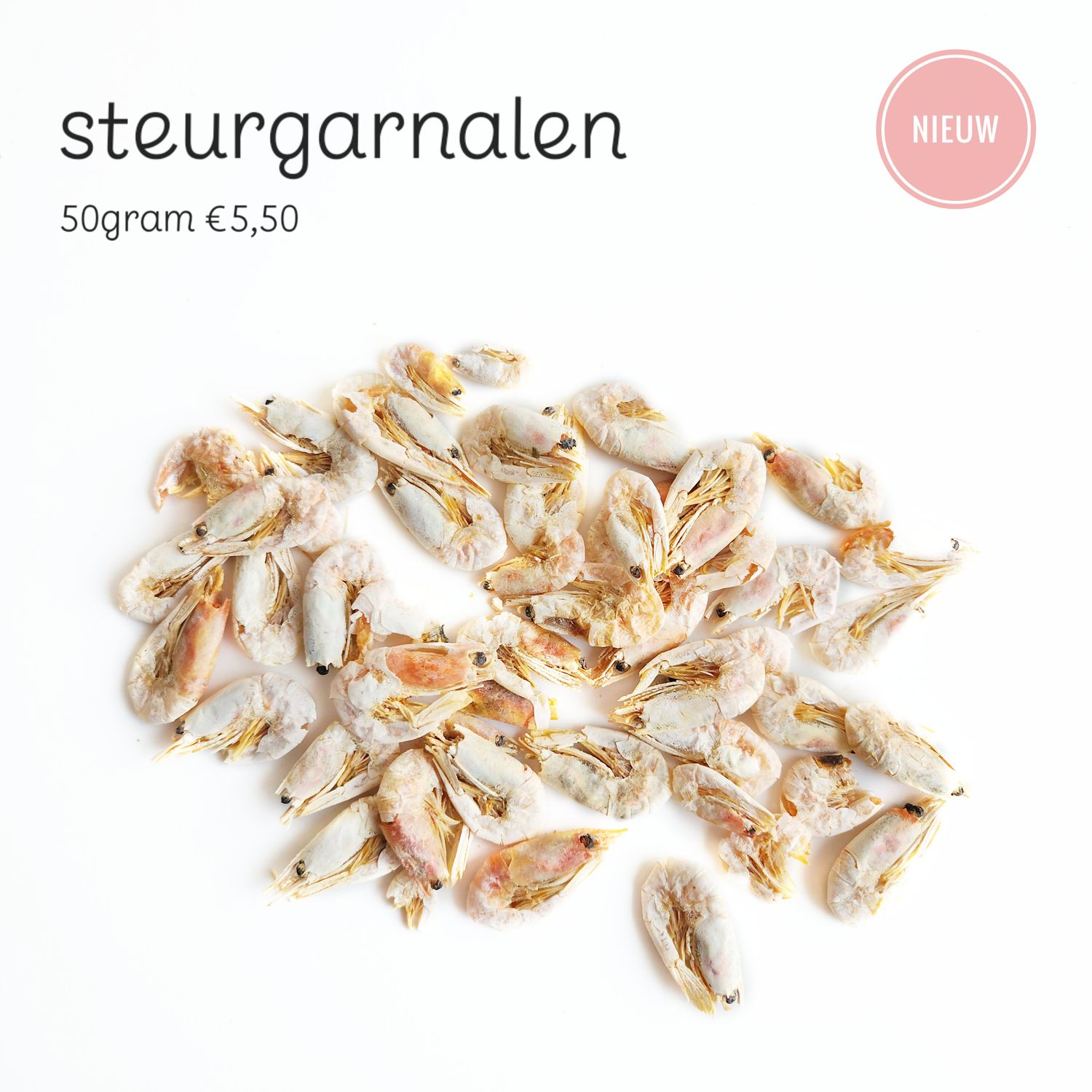 steur garnalen