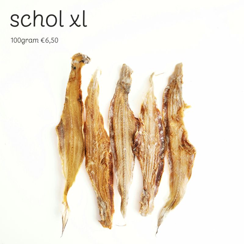 scholfilet xl