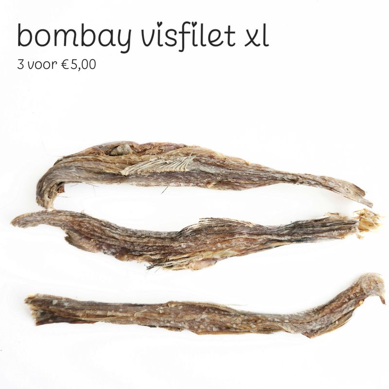 Bombay visfilet xl