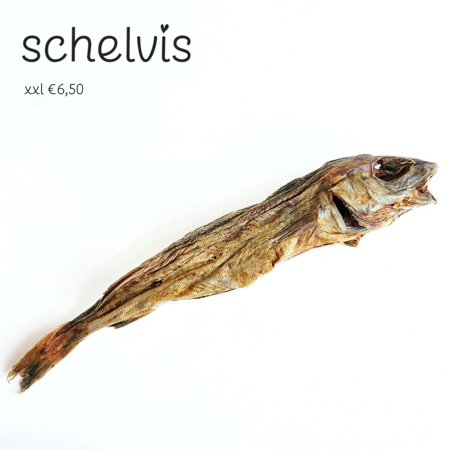 Schelvis - xxl