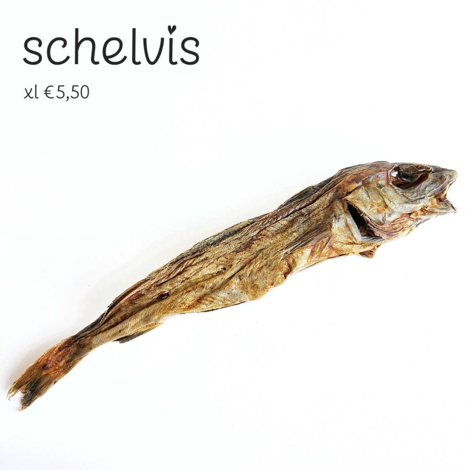 Schelvis - xl