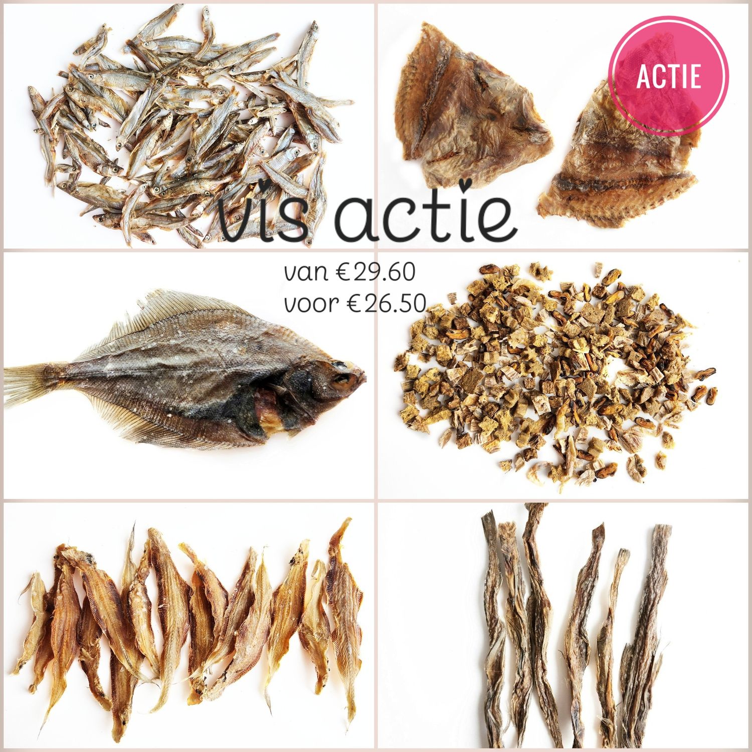 Vis actie