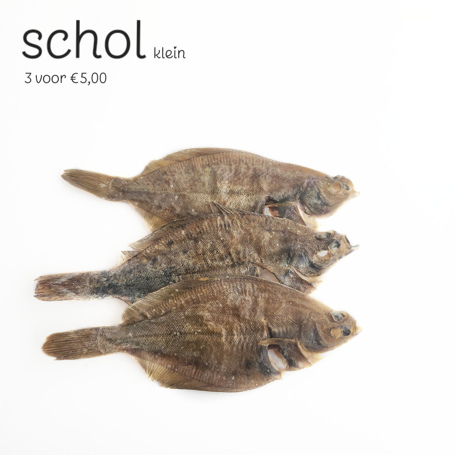 schol klein 3stuks