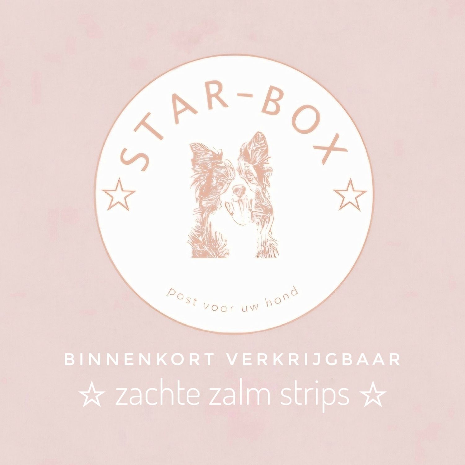 Zalm strips (zachte)