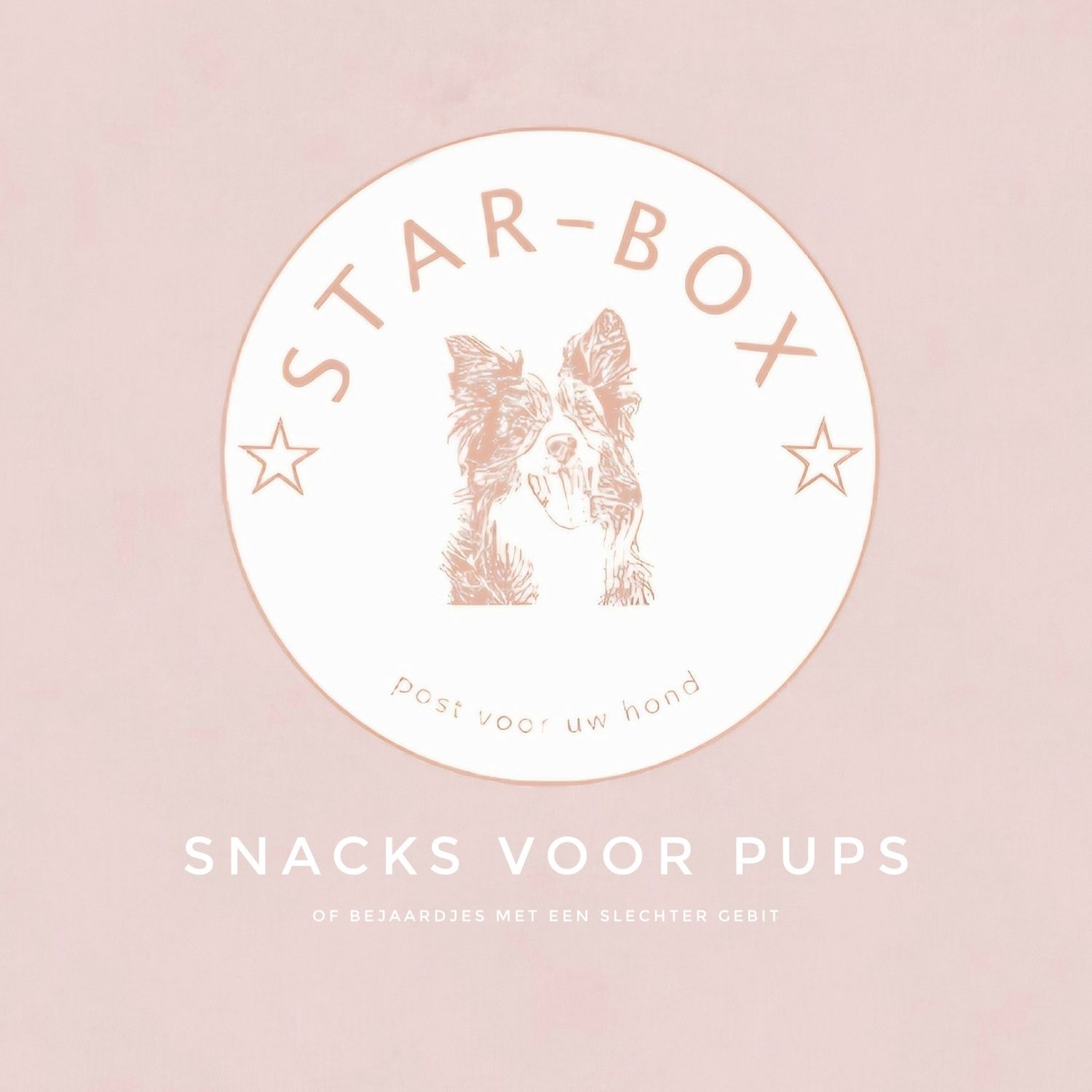 Snacks voor pups
