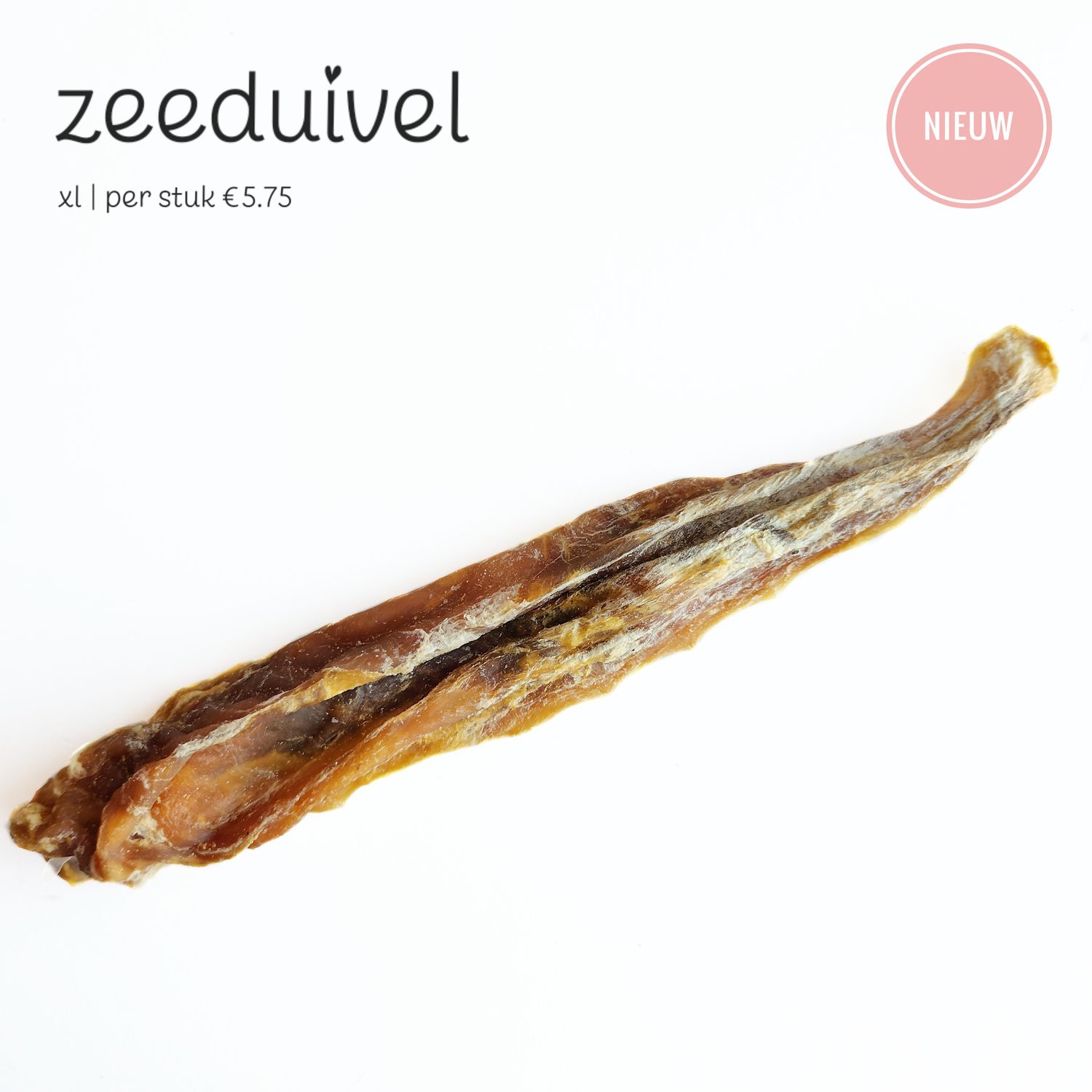Zeeduivel | xl