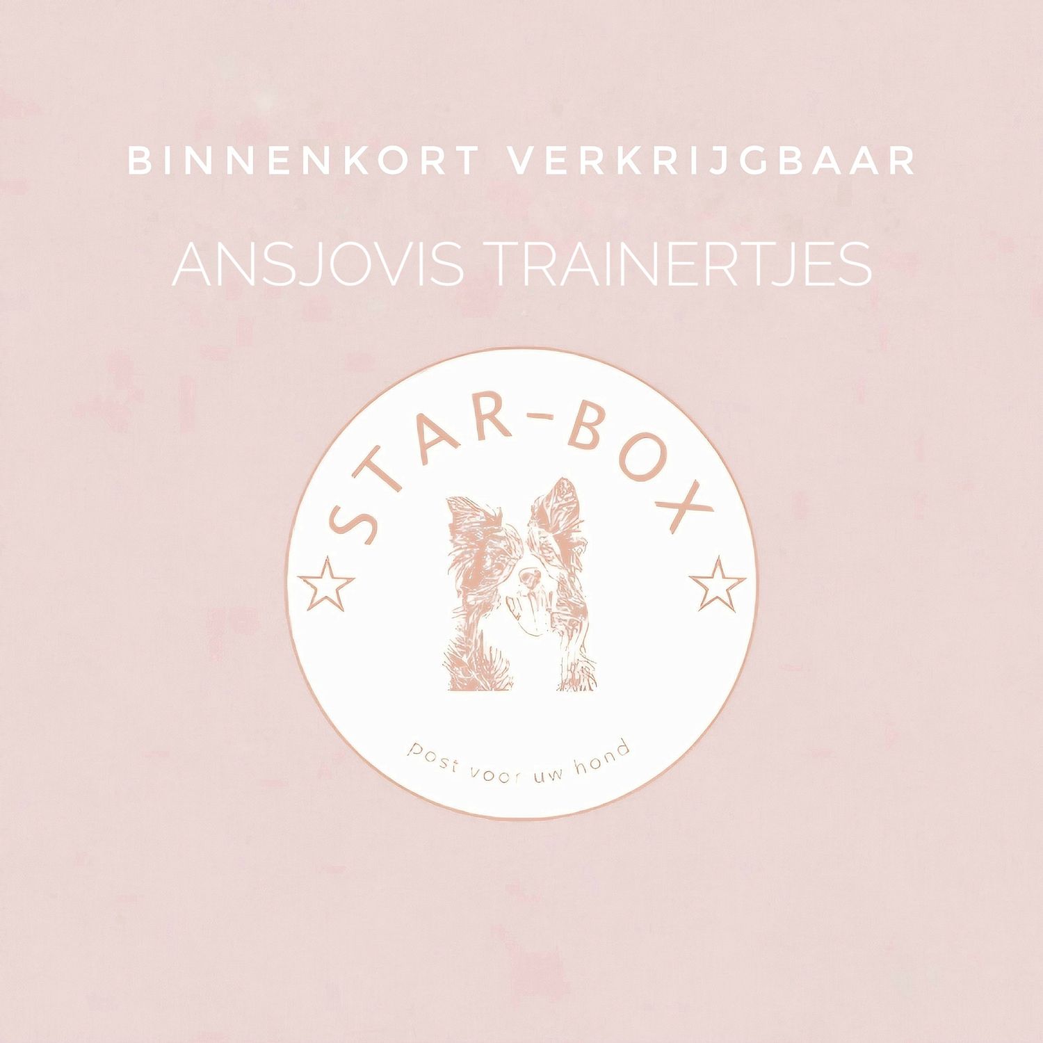 ansjovis trainertjes