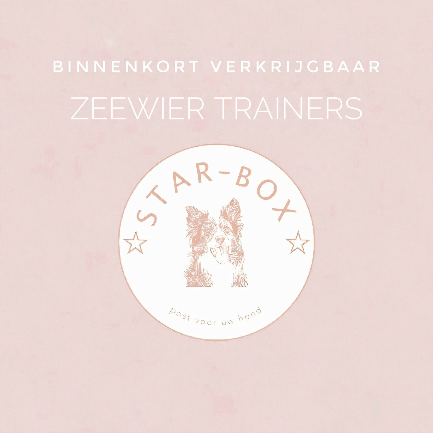 Zeewier trainertjes