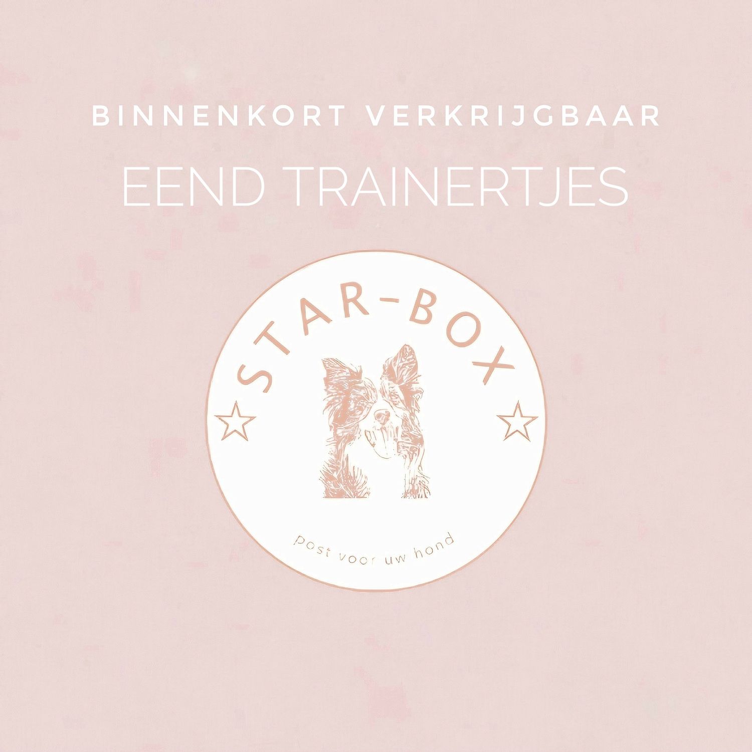 Eend trainertjes