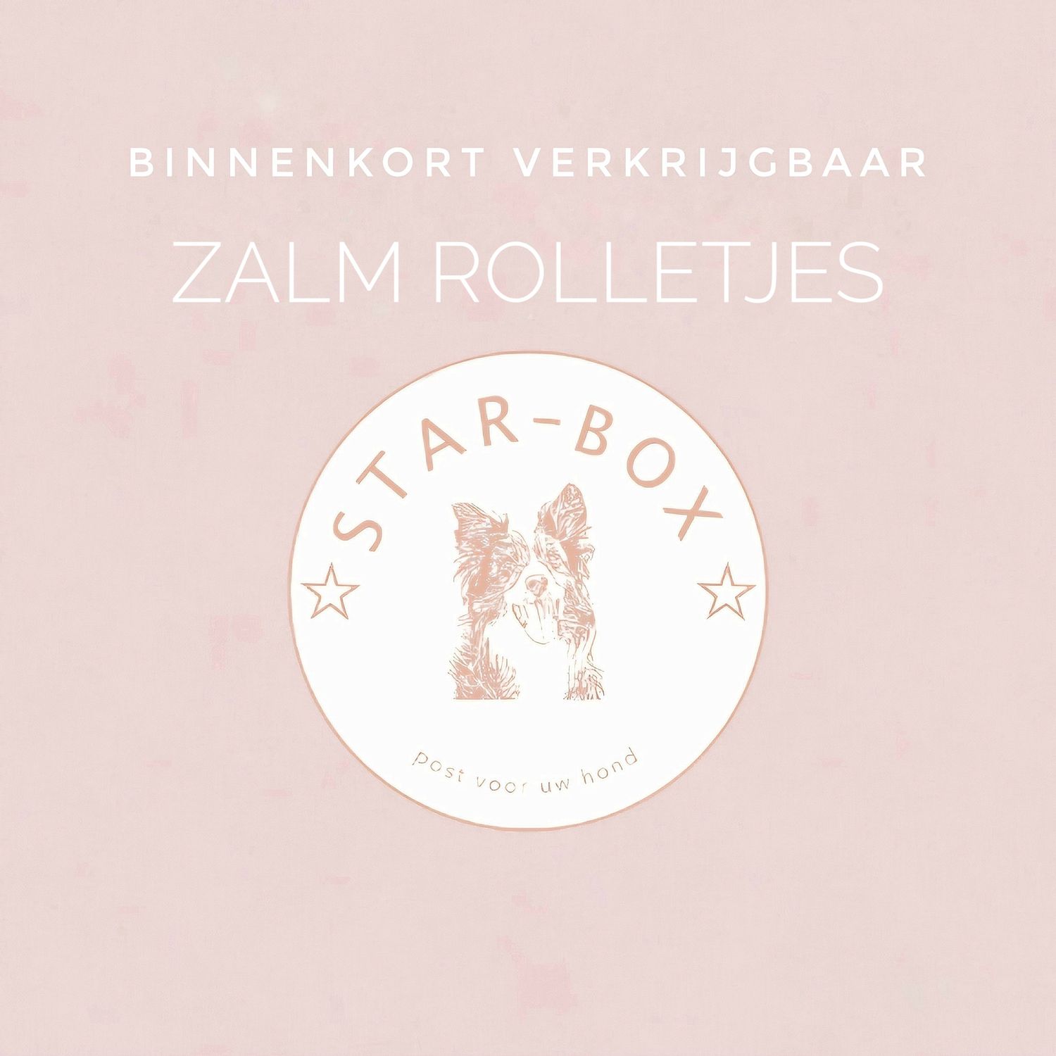 Zalm rolletjes