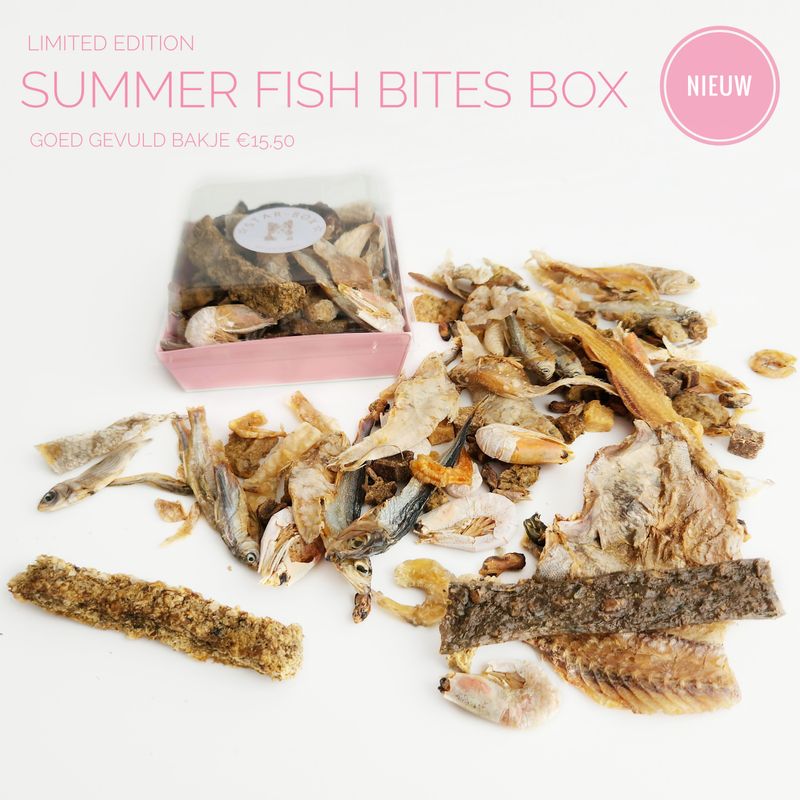 ?? summer fish bites box ??