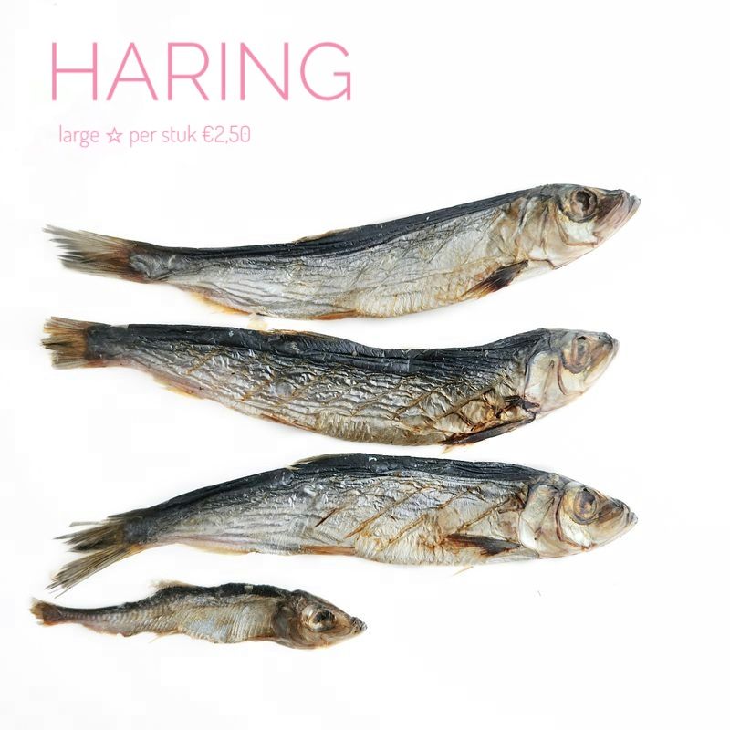 Haring - large