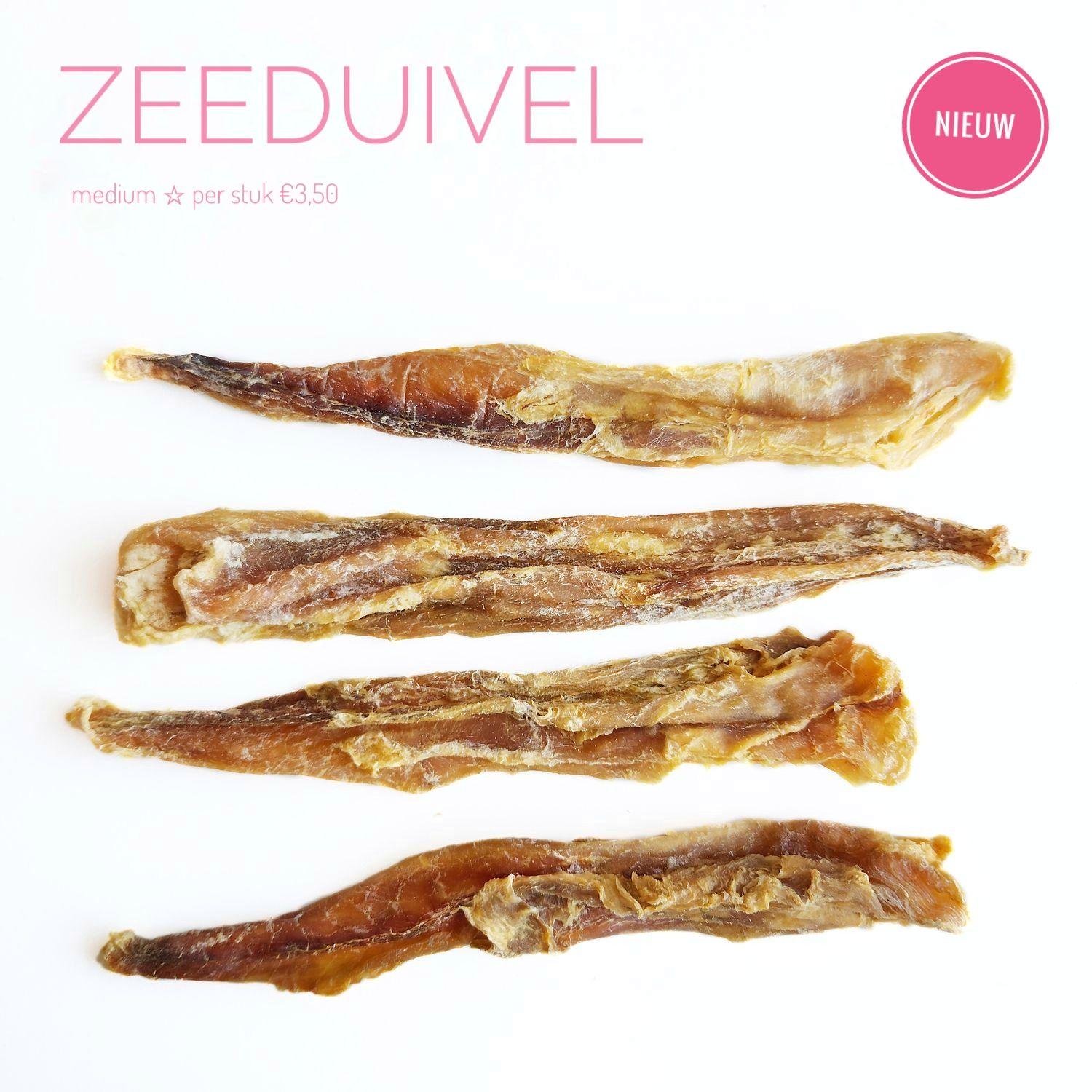 Zeeduivel | medium