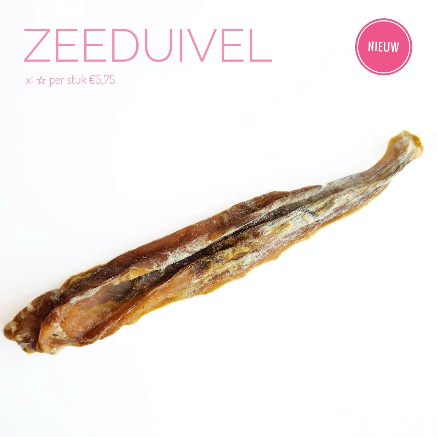 Zeeduivel | xl