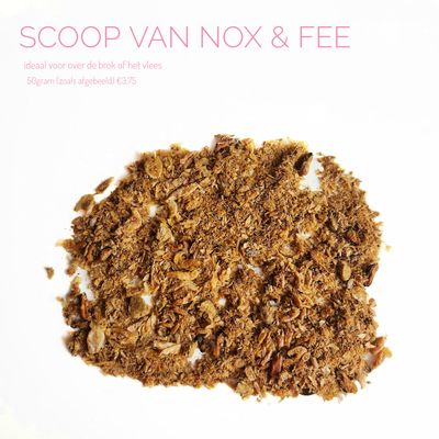 Scoop van Nox & Fee Scoop van Nox & Fee