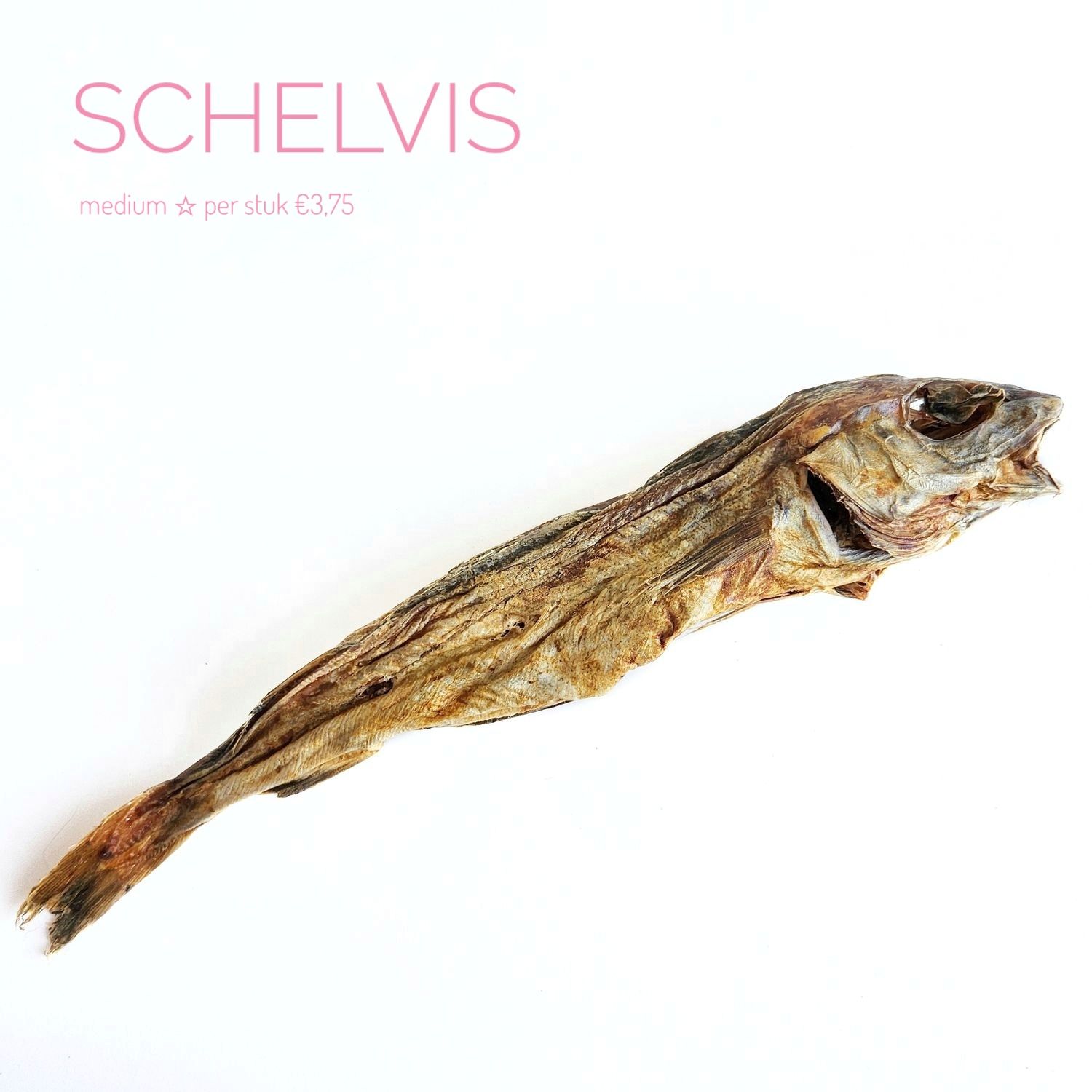Schelvis - medium