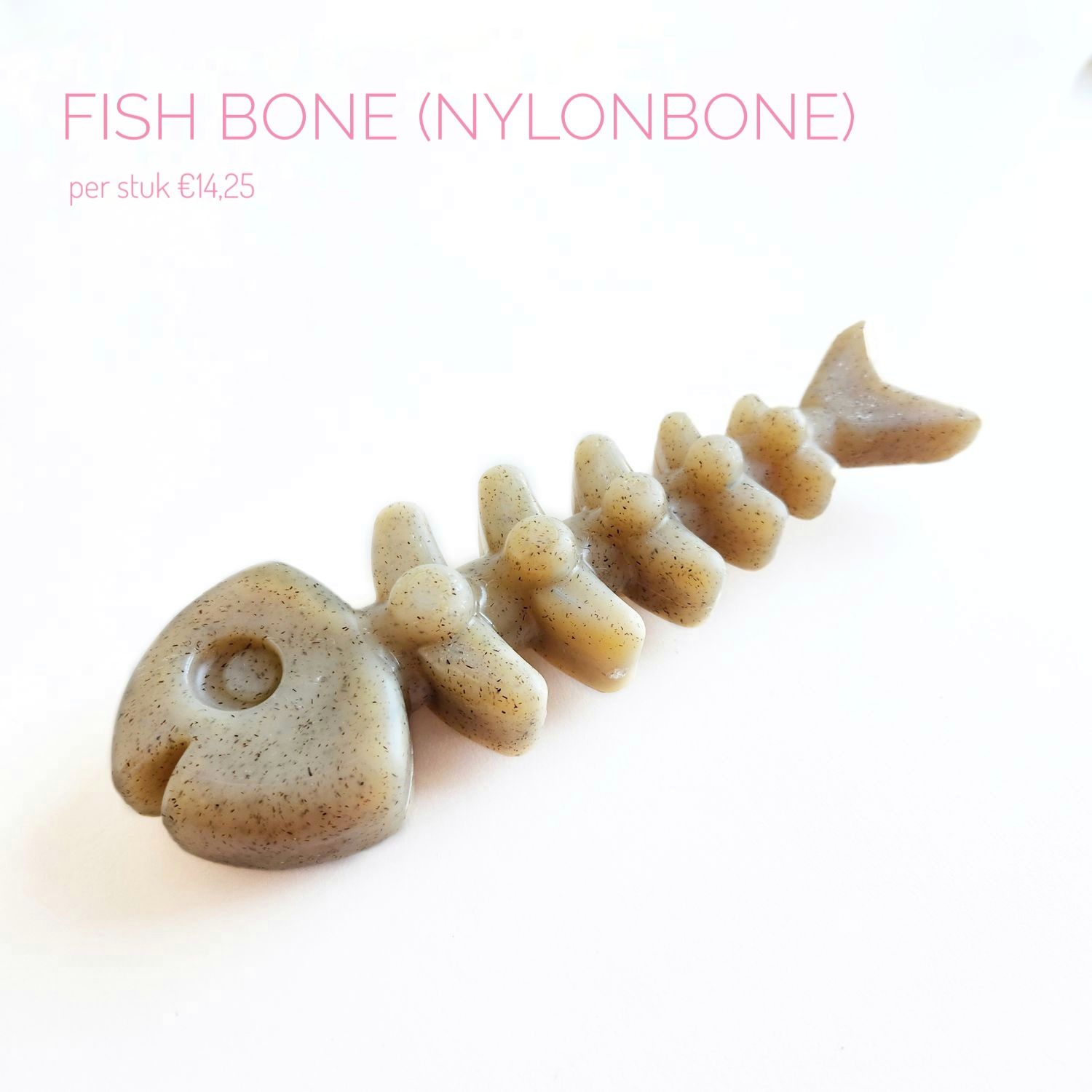 Fish bone (nylonbone)