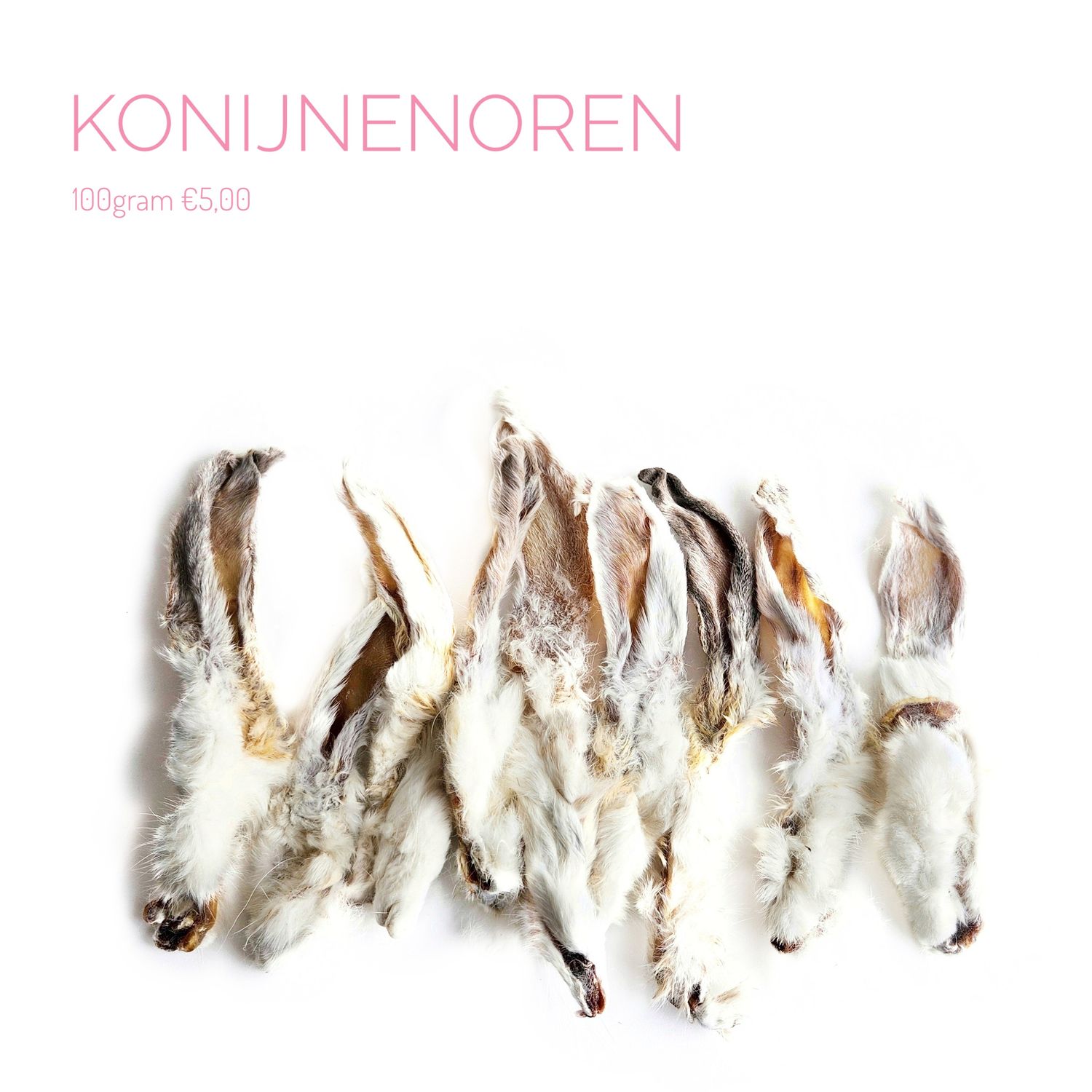 konijnenoren