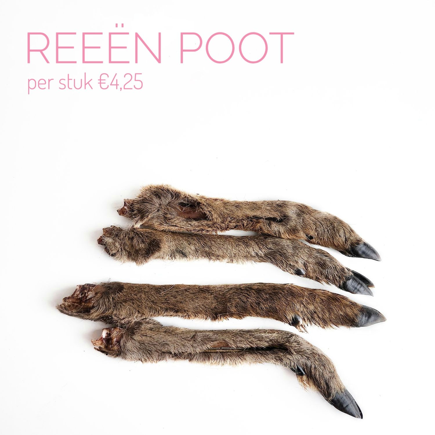 Reeën poot