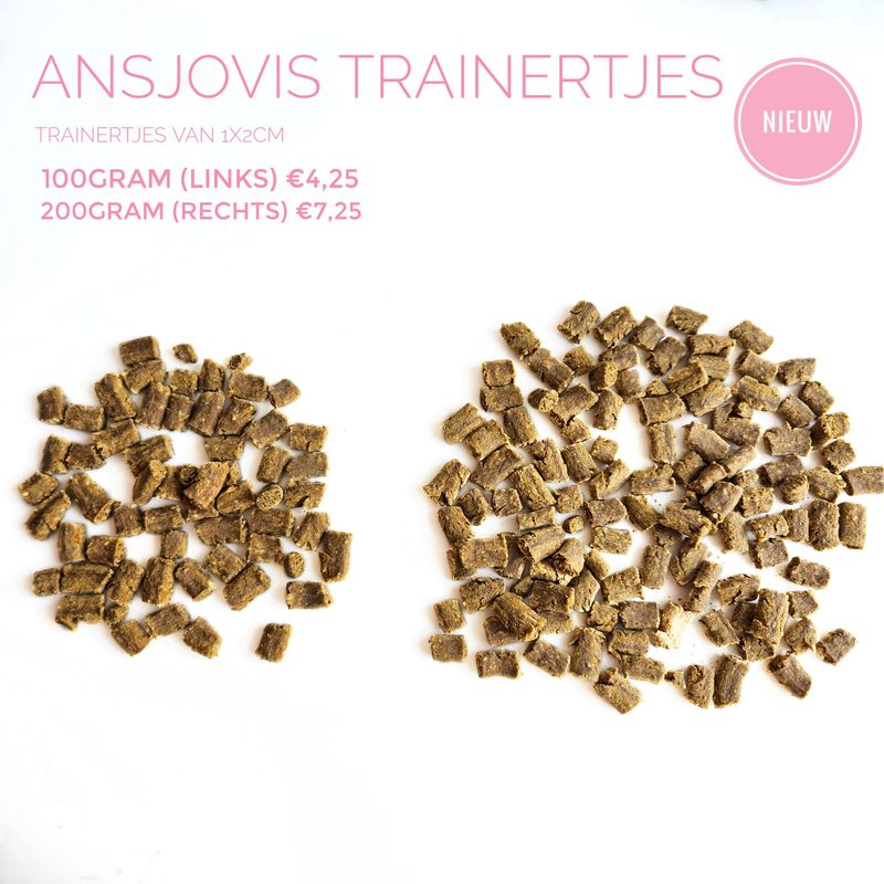 ansjovis trainertjes