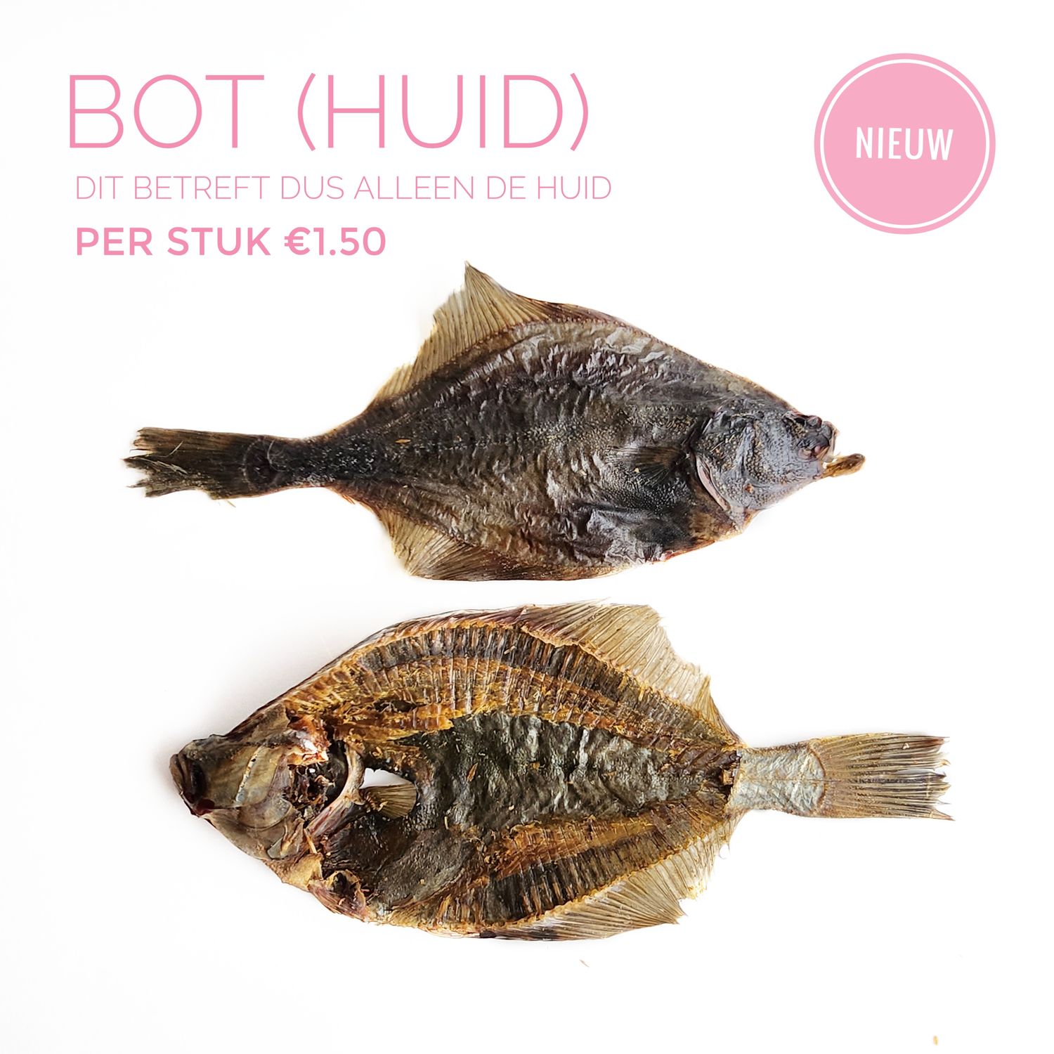Bot (huid)