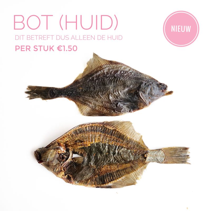 Bot (huid)