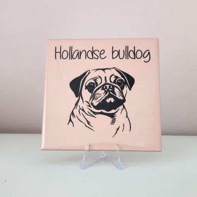 tegeltje Hollandse Bulldog