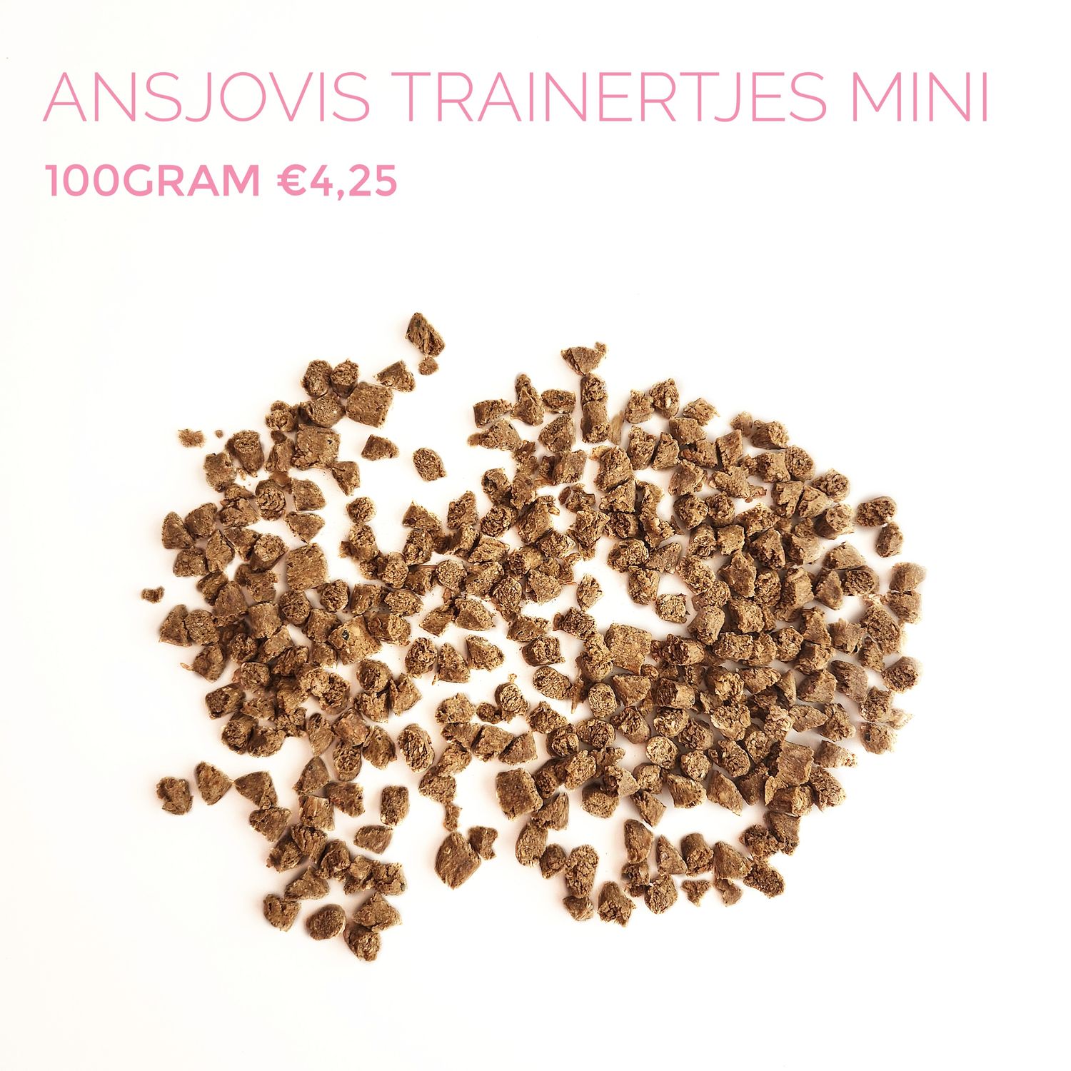 ansjovis trainertjes mini