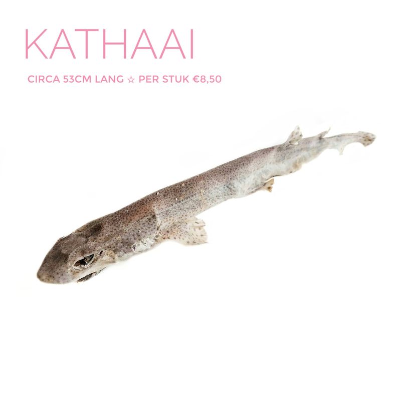 Kathaai
