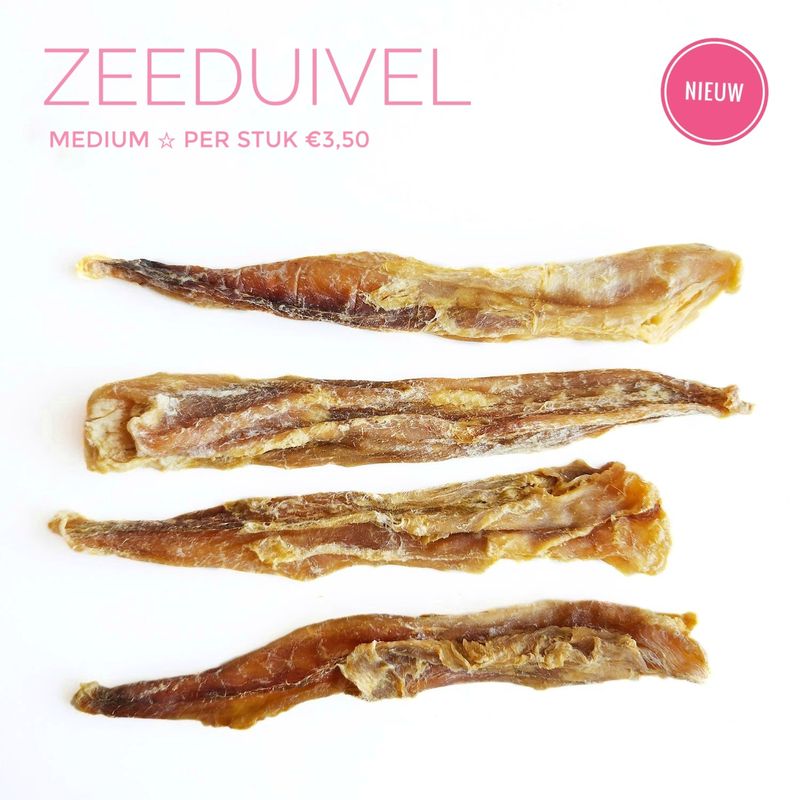 Zeeduivel | medium