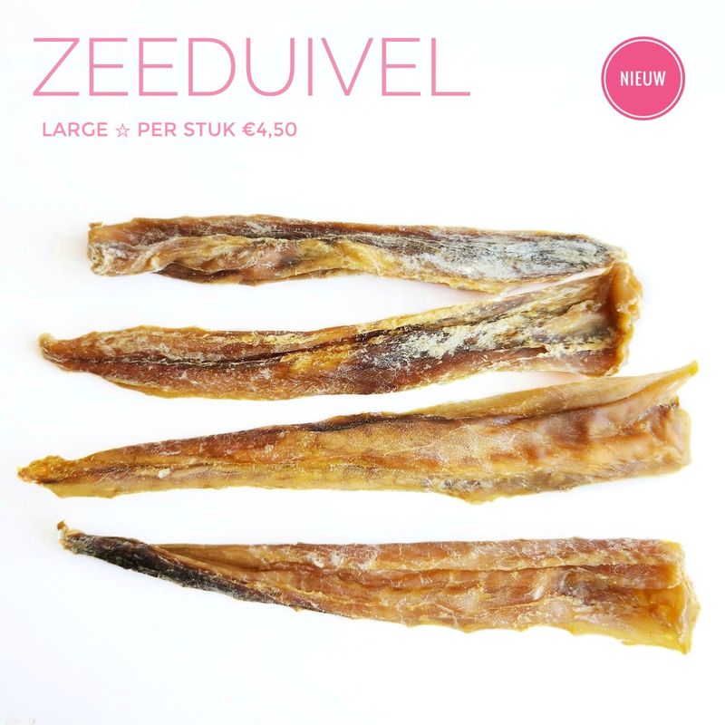 Zeeduivel | large