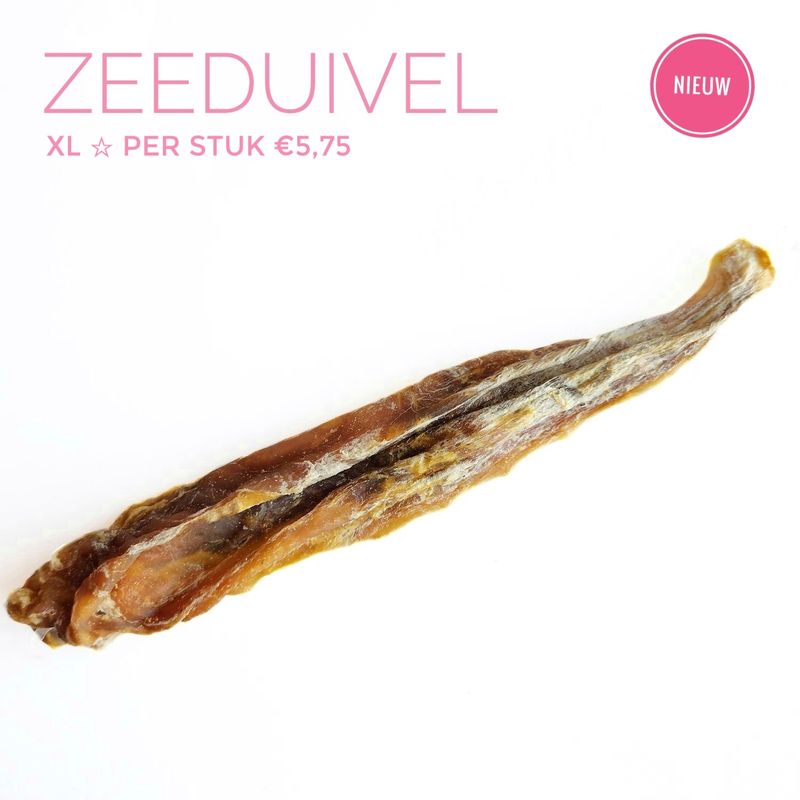 Zeeduivel | xl