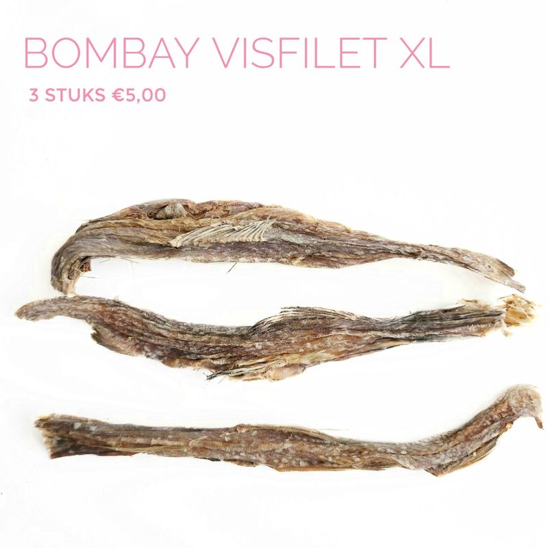Bombay visfilet xl