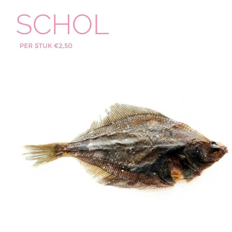 schol