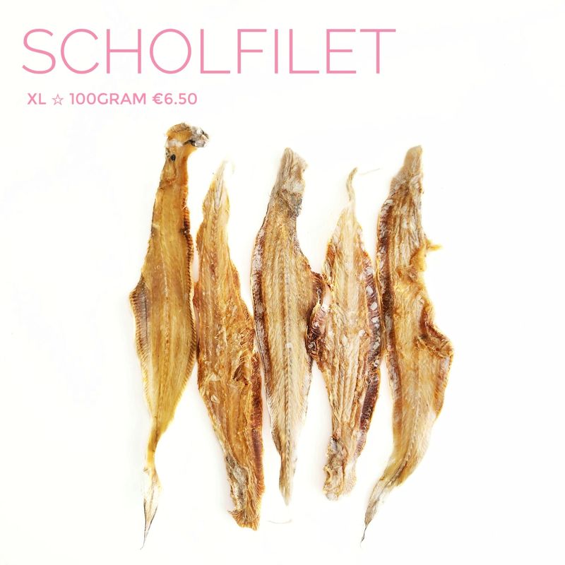 scholfilet xl