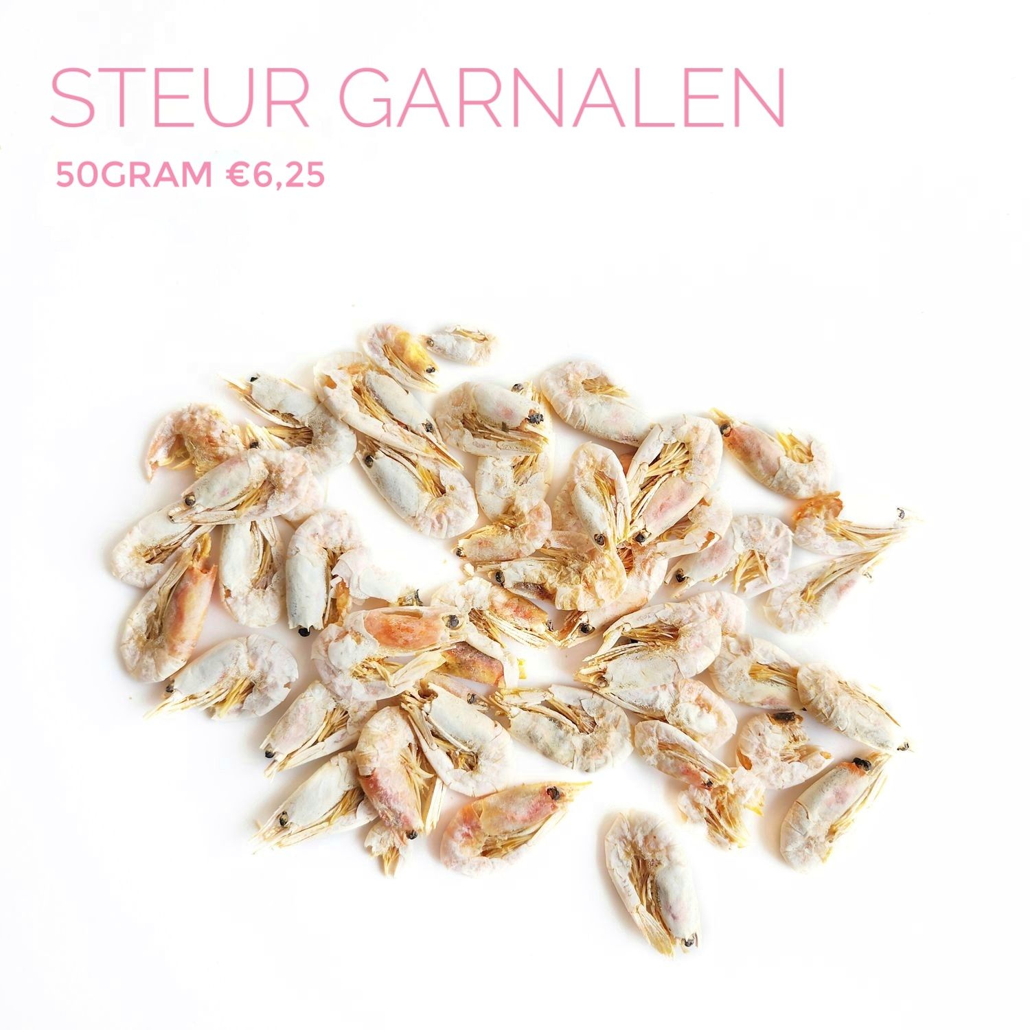 steur garnalen