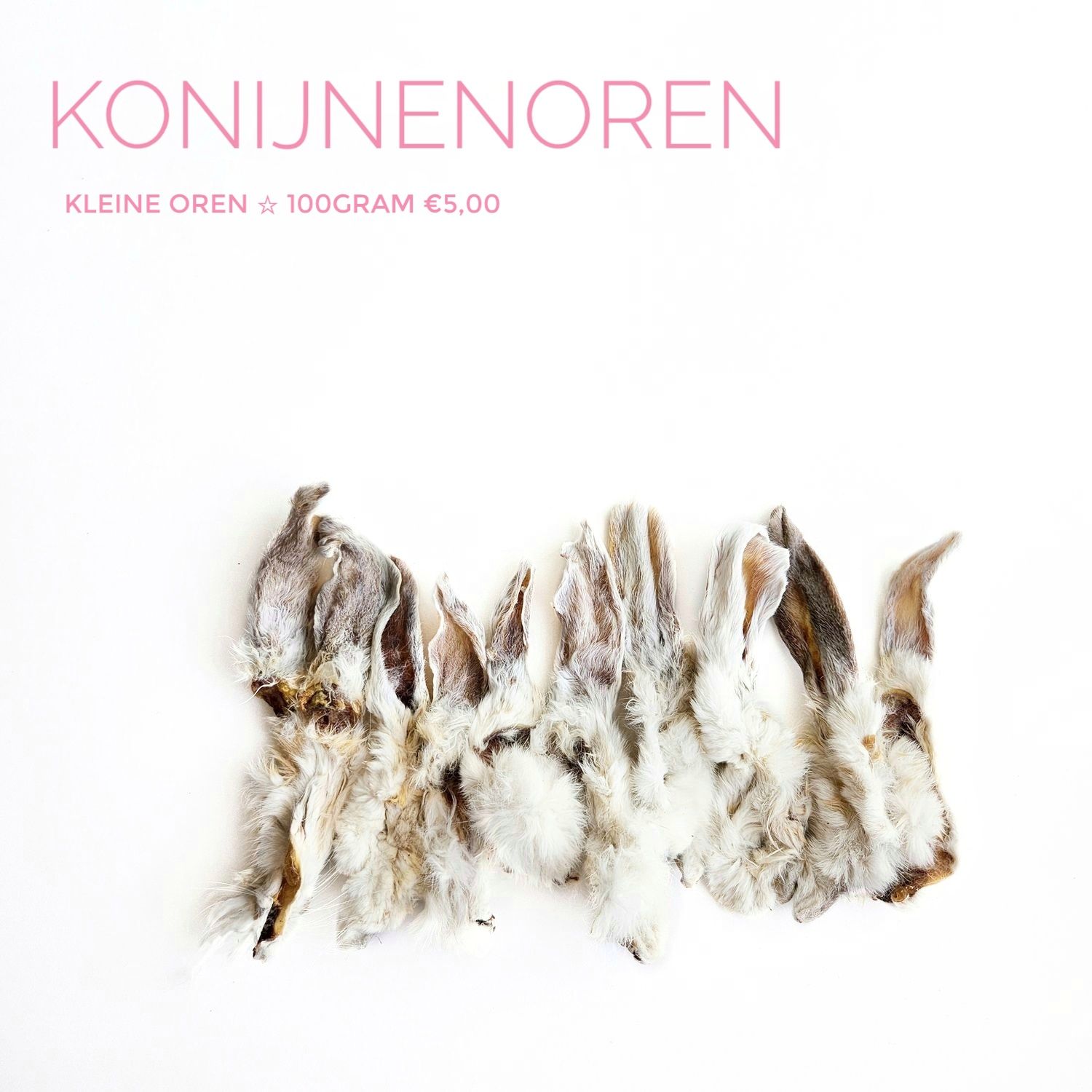 konijnenoren klein