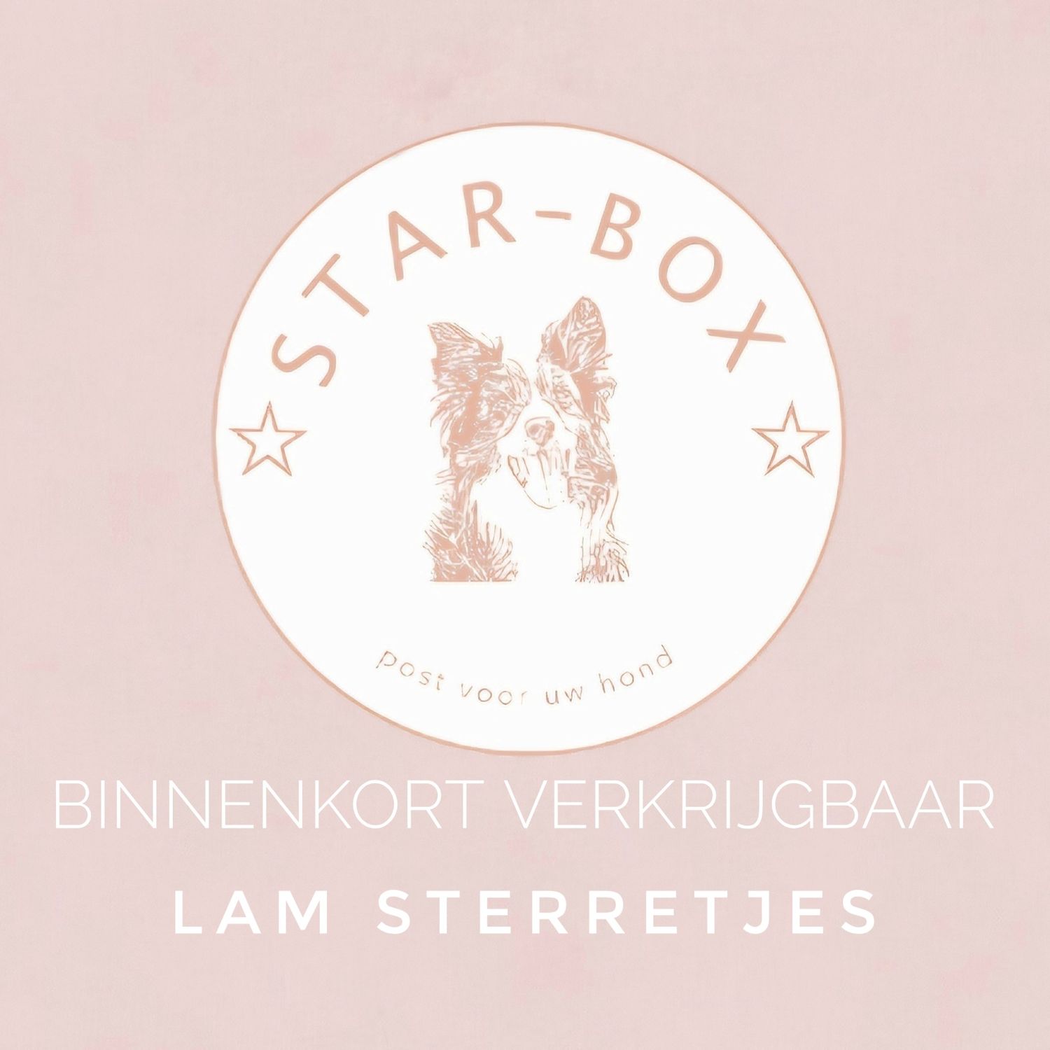 Lam sterretjes