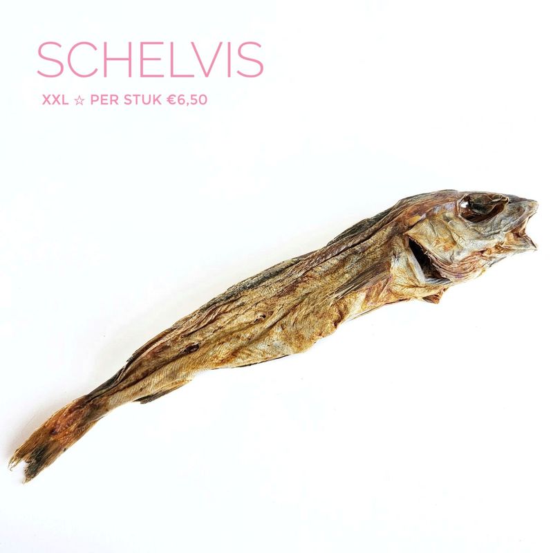 Schelvis - xxl