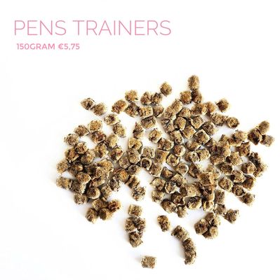 Pens trainers