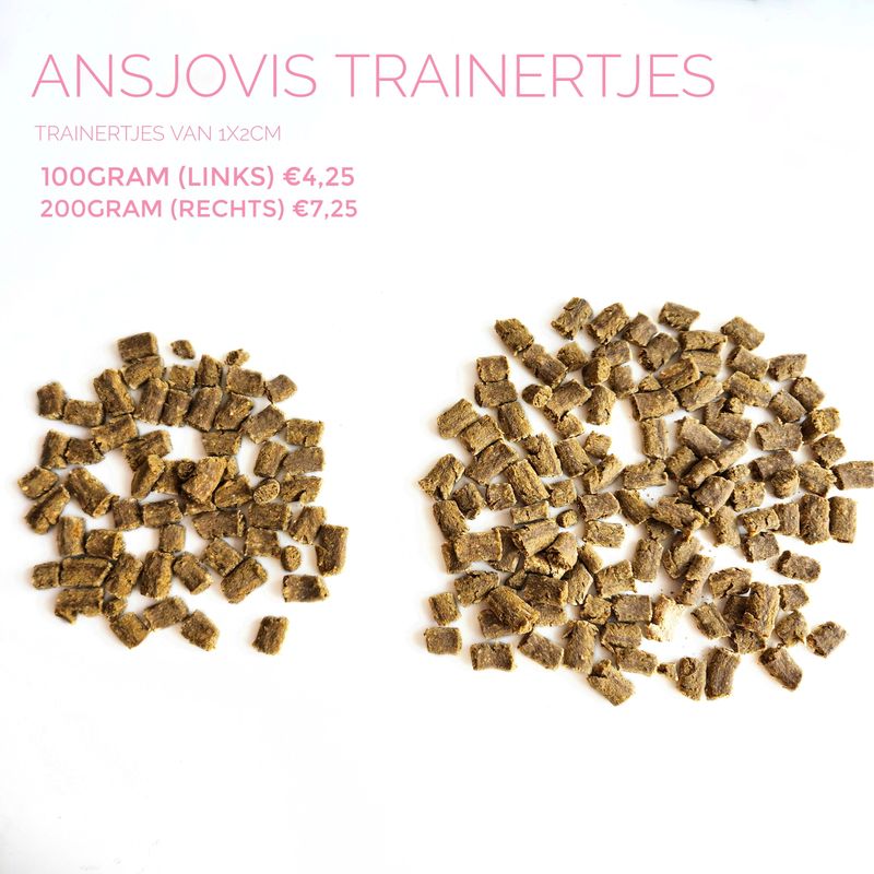 ansjovis trainertjes