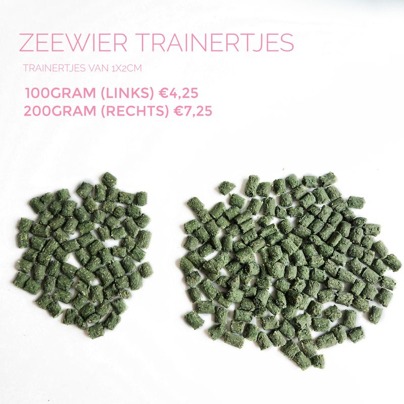 Zeewier trainertjes